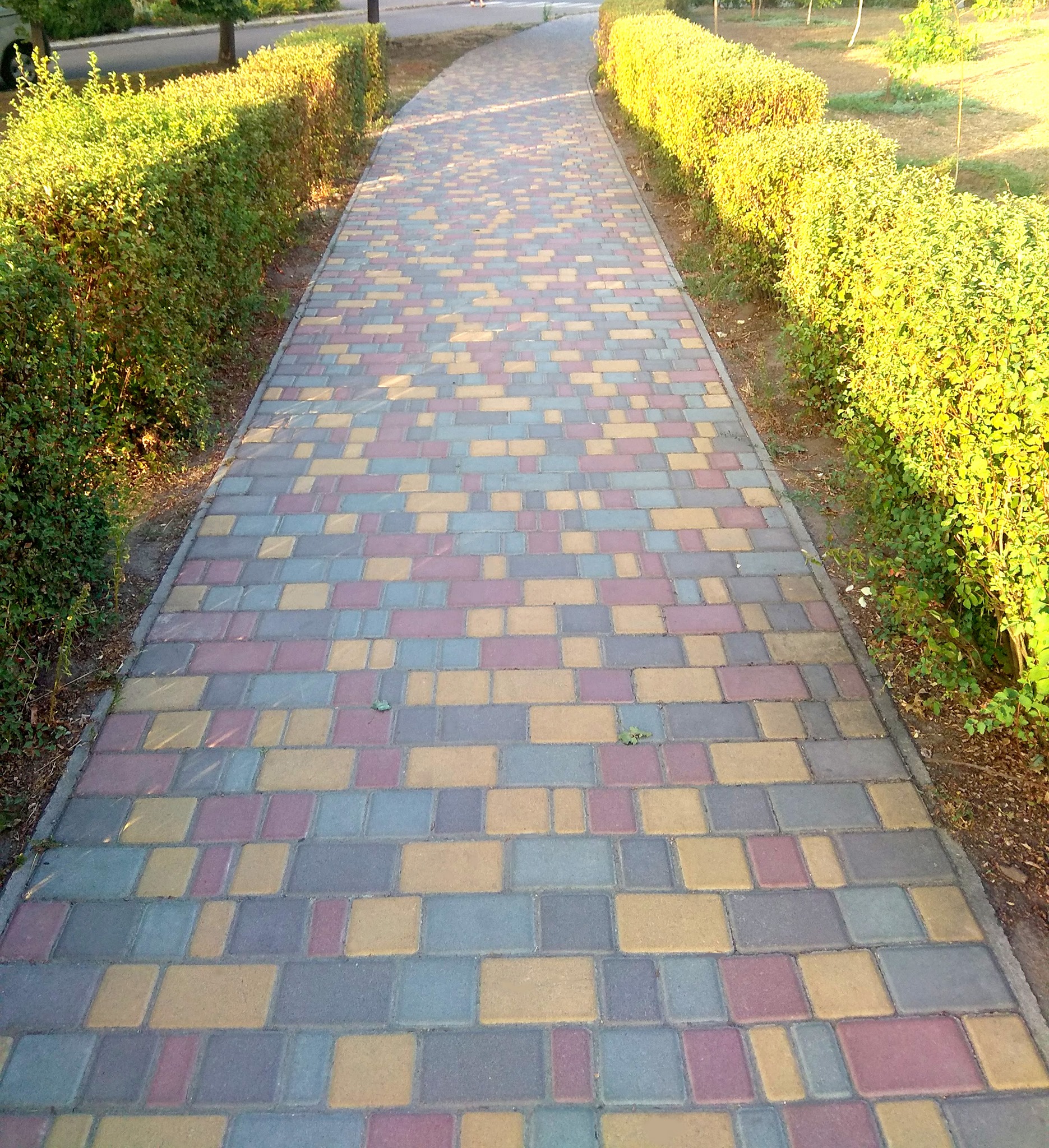 Wintry Mountain Landscape